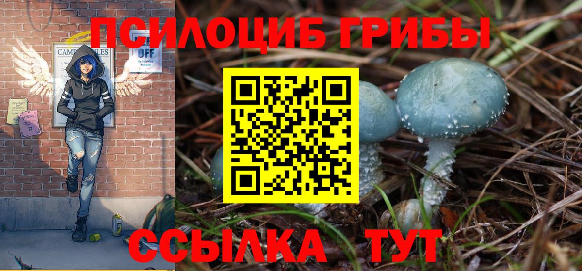 Галлюциногенные грибы ЛСД Елабуга