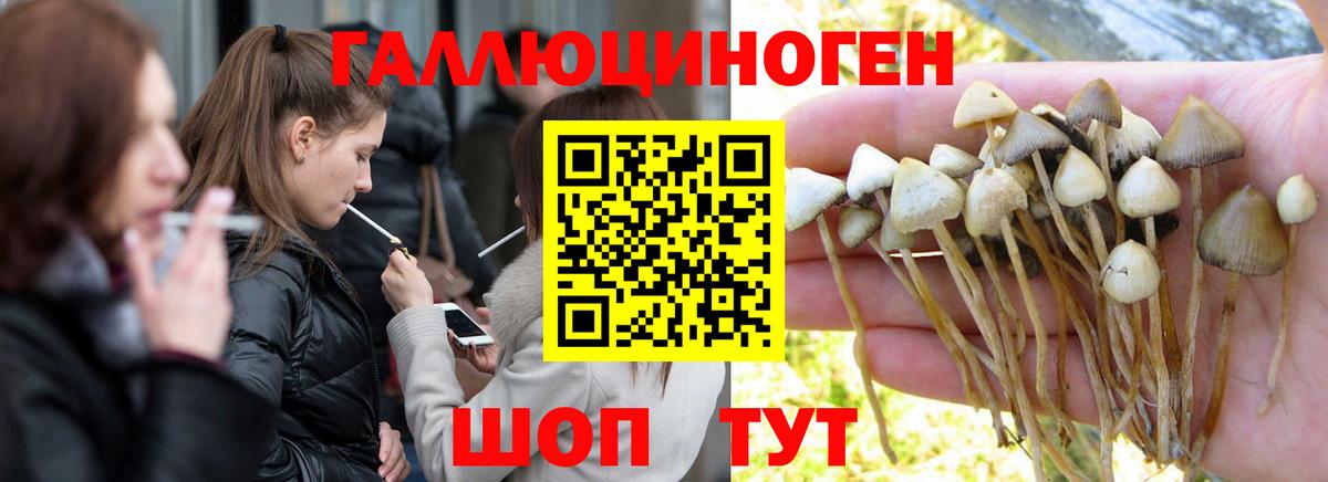 Псилоцибиновые грибы мухоморы  Вход с VPN  Елабуга  Галлюциногенные грибы Magic Shrooms 